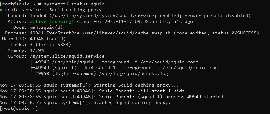 squid-installed-successfully